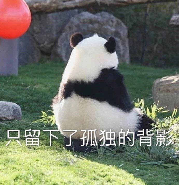 萌宠表情包:有小可爱飞奔而来!