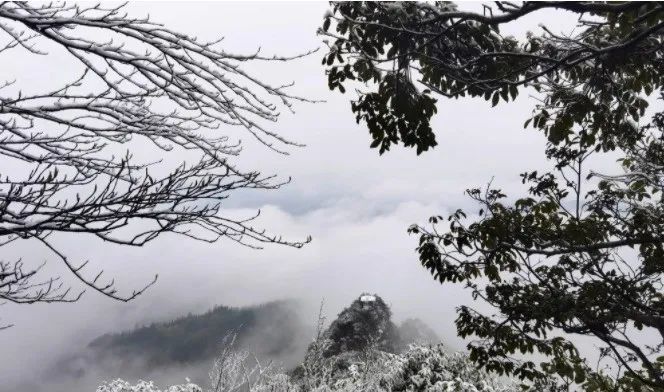 阳春三月,泸州这些地方竟然下大雪了!好漂亮