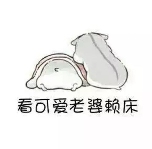 仓鼠表情包老公你要那种零食
