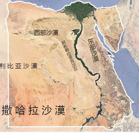 人造人口_人口普查(2)