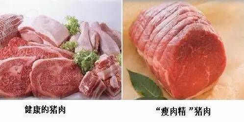 瘦肉精再现江湖,关于瘦肉精,我们应该知晓的事情