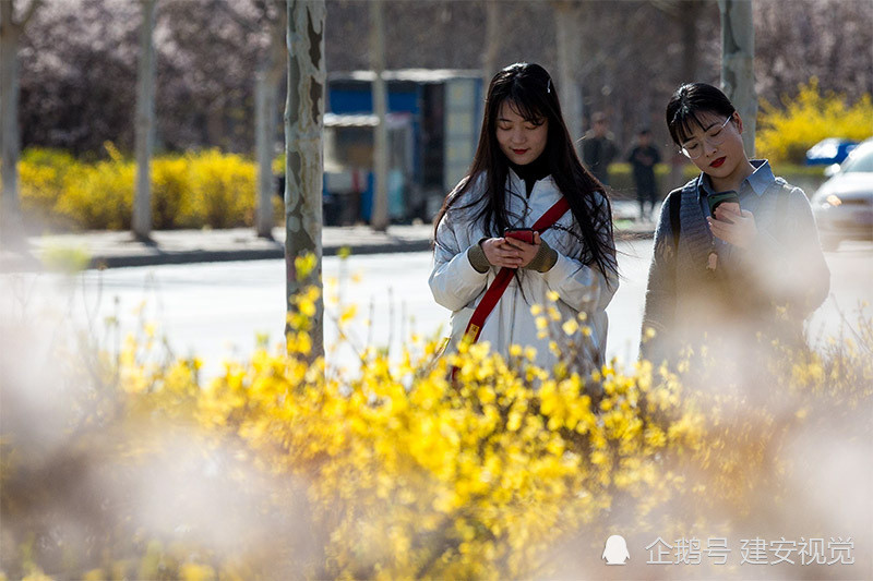 成语什么寡妇_寡妇脸是什么样子
