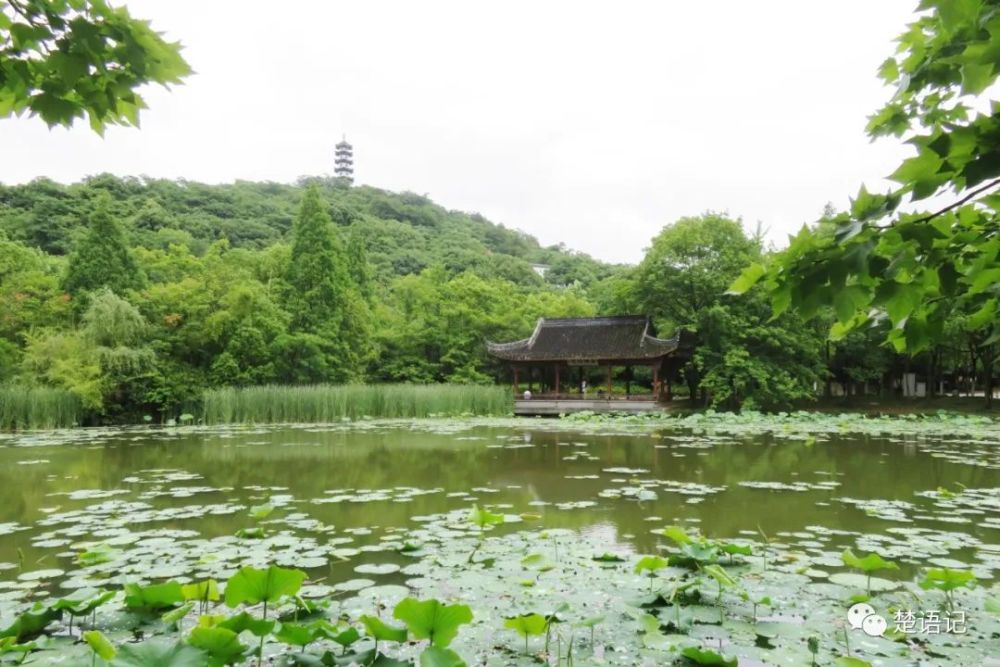 诸暨城区最美丽的免费景点之一人文古迹众多影视剧组曾来取景