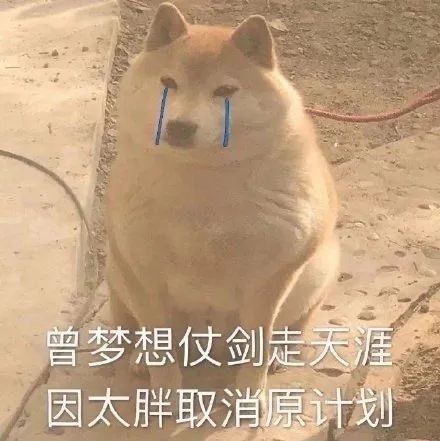 沙雕表情包 对金钱的渴望