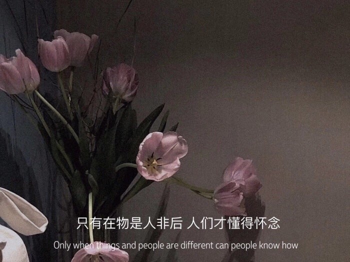 精选台词背景图|暗恋是一个人的事情
