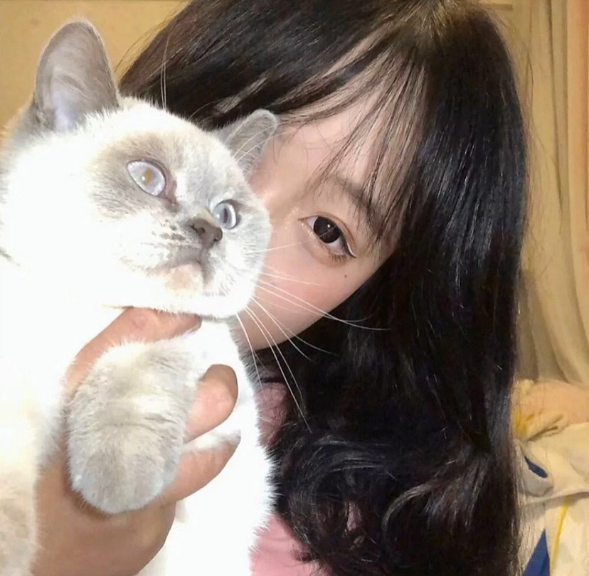 女生头像 手抱小动物 超有爱 | 甜妹必备