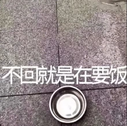 表情包:一看就不是什么好人.