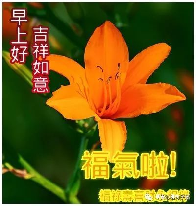 早上好问候图片 早上好祝福语送朋友