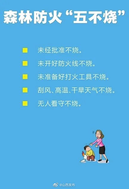 "十不准""五不烧"……森林防火知识,你知道几个?