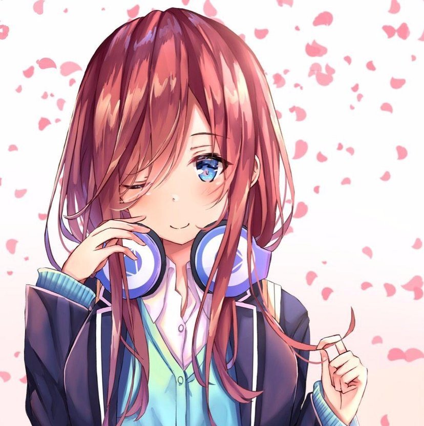 《五等分的新娘》魅力榜,中野三玖人气超高,榜首被称宅男女神