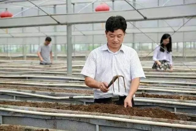 【人大代表风采】聂永平:扎根农村,助推"三农"发展