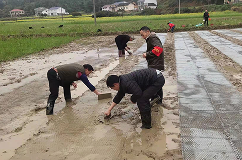 秧田村有多少人口(2)