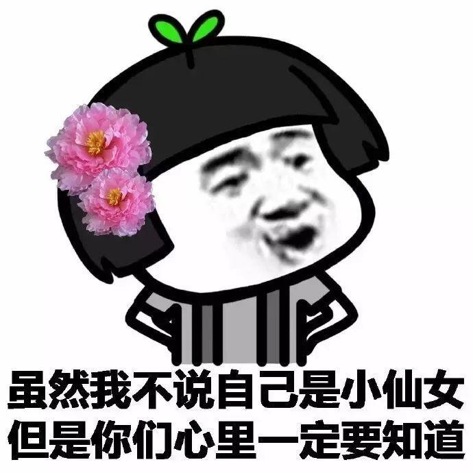 其实我的真实身份是一个聪明魔仙堡的魔仙,主要是魔仙堡的日子太舒服