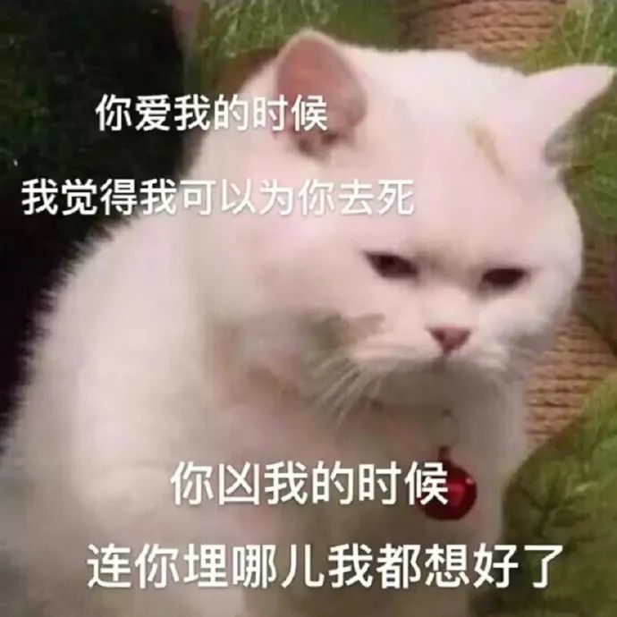 表情包:你凶我的时候,你埋在哪我都想好了