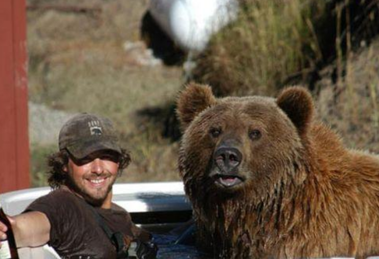 他把灰熊当"朋友",不顾反对照顾熊群13年,最后却成熊的盘中餐