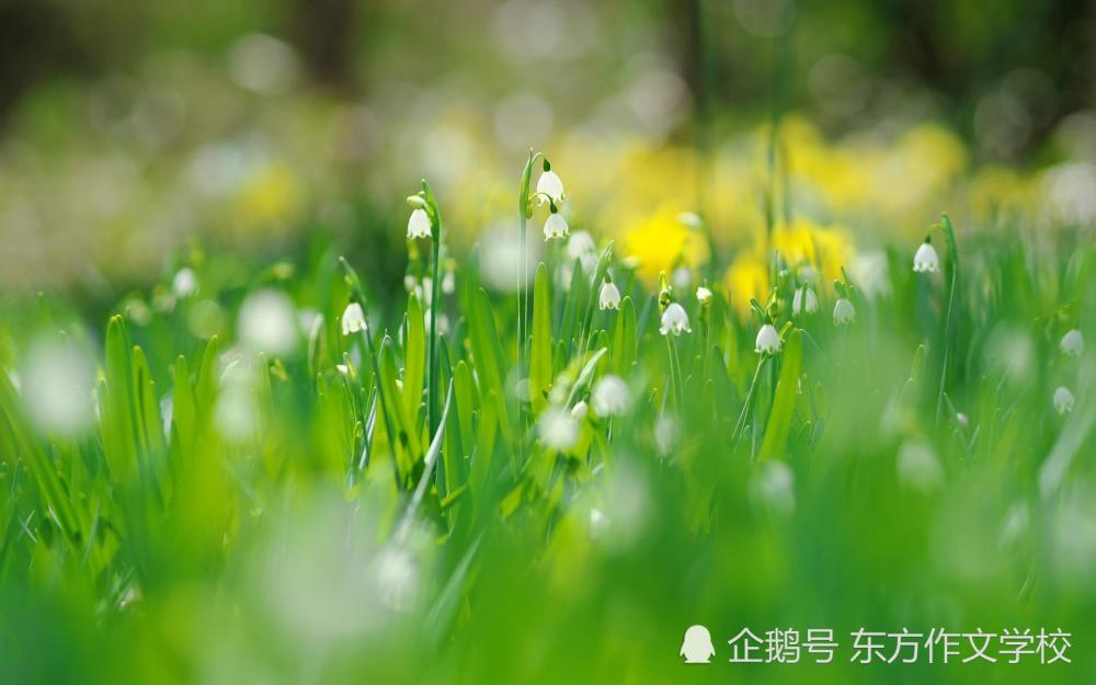 什么细雨成语_成语故事图片