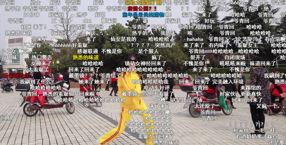 b站鬼畜舞蹈两只老虎变成广场舞,魔性洗脑,真不怕路人