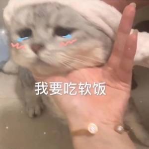 熊猫头表情包:我要吃软饭