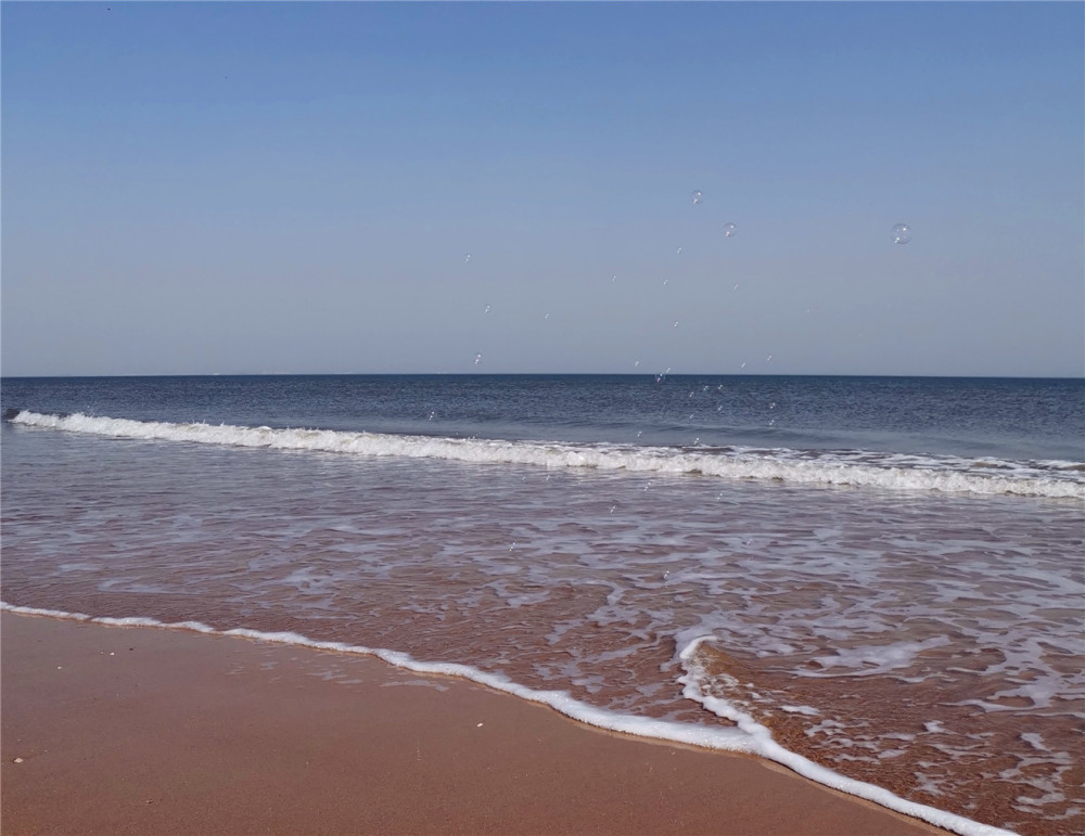 日照旅游海边景点,小编带你安排这四个正规游玩地赶海