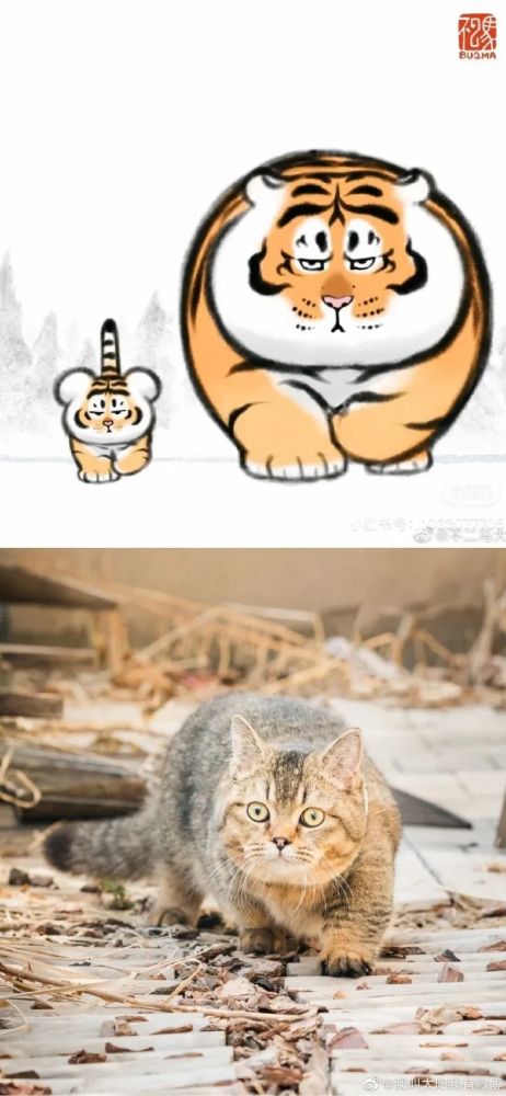 画师:@不二马大叔