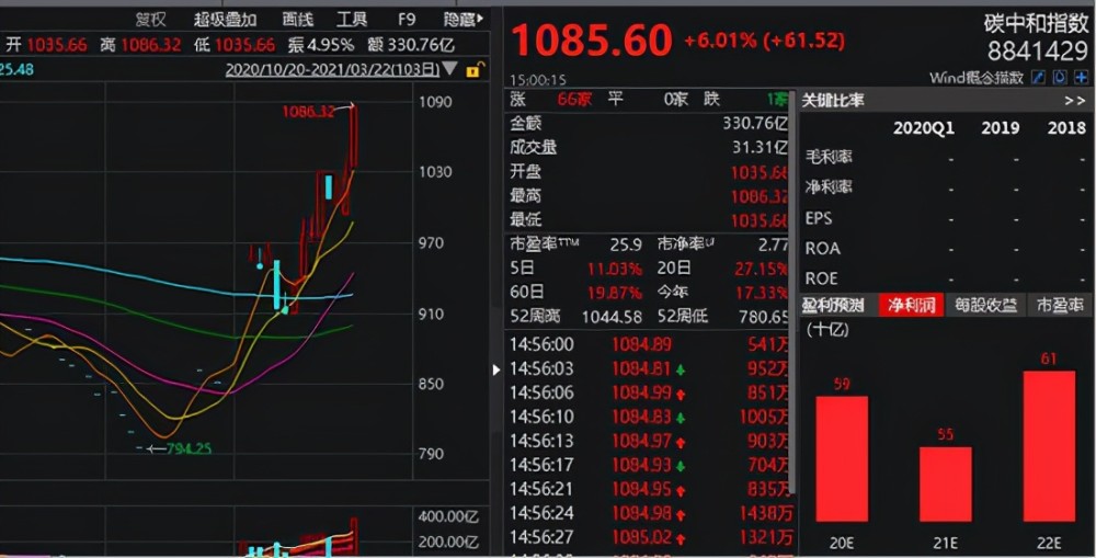 这只碳中和概念股9天8涨停,公司提醒:有风险!