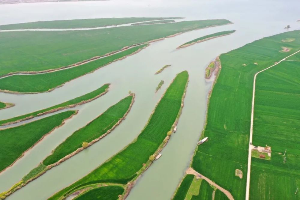 图说洪泽|麦田青青水潺潺 无边美景入画来