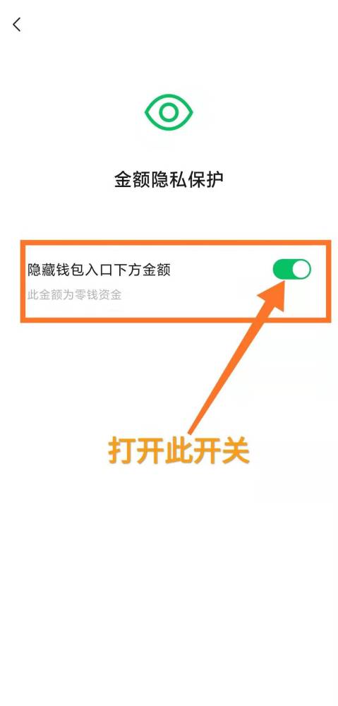 5,进入"金额隐私保护"选项后,自行点击"隐藏钱包入口下方金额"右边的