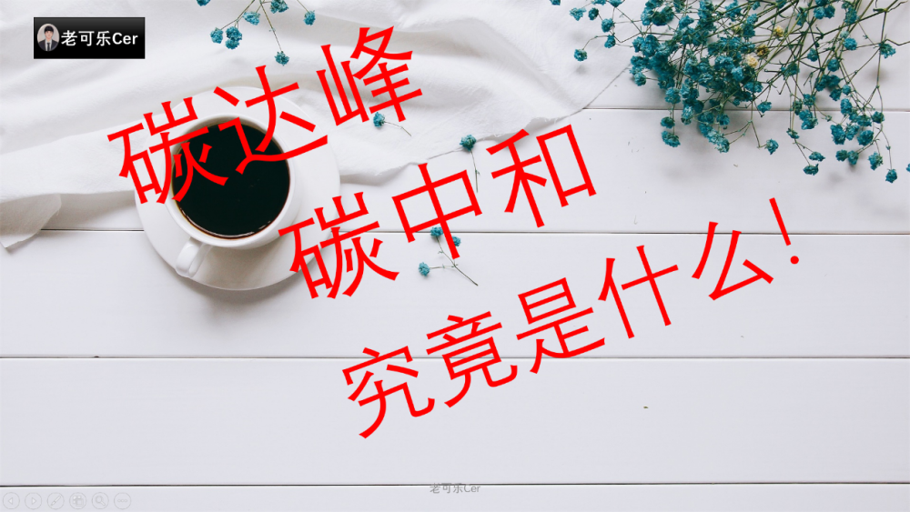 2030年碳达峰,2060年碳中和,这是2021两会期间又一次提出的概念