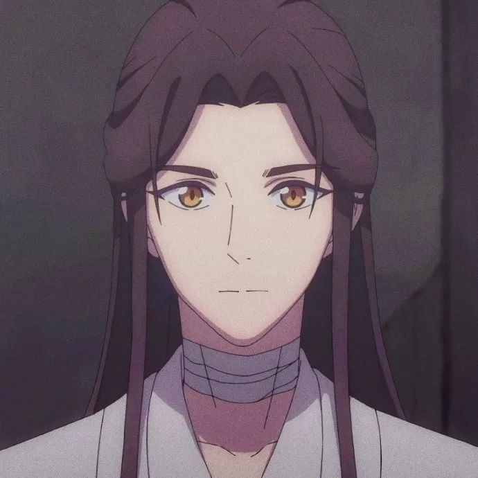 天官赐福 谢怜头像|动漫头像