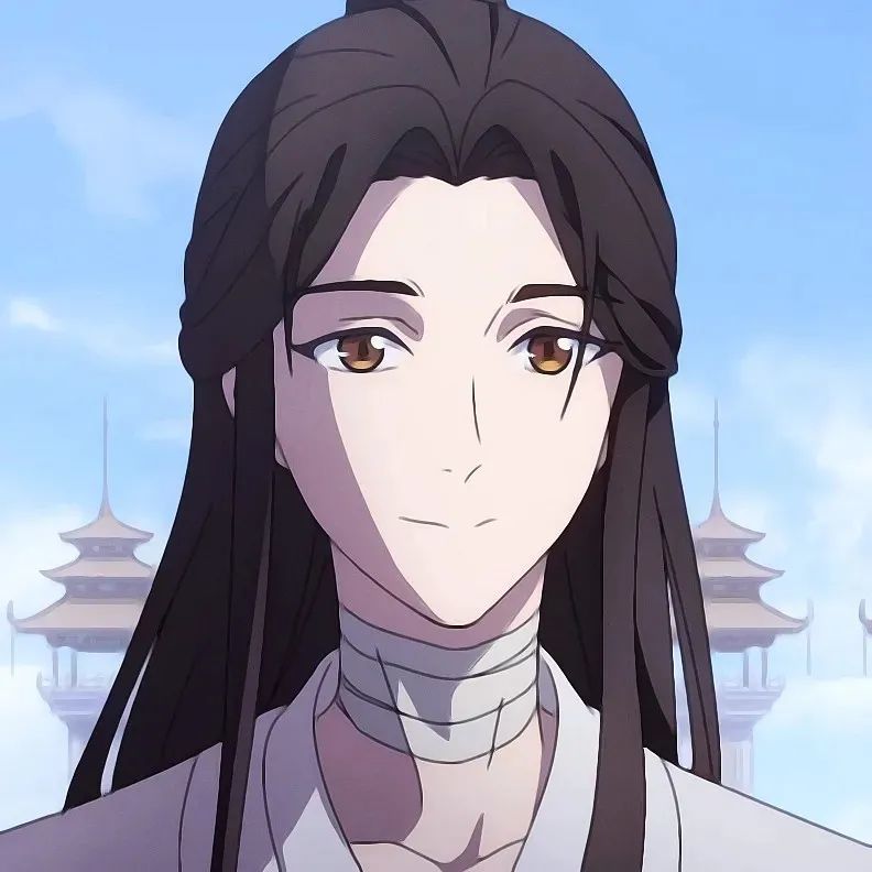 天官赐福 谢怜头像|动漫头像