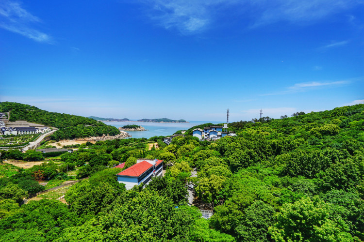 海天佛国我登顶,远眺深知造化功,登普陀山佛顶山