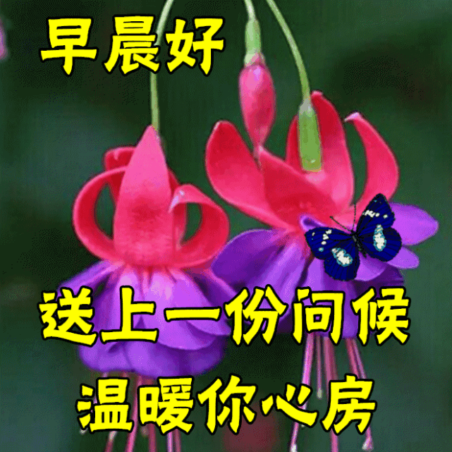早安祝福美图 早上好问候句子.