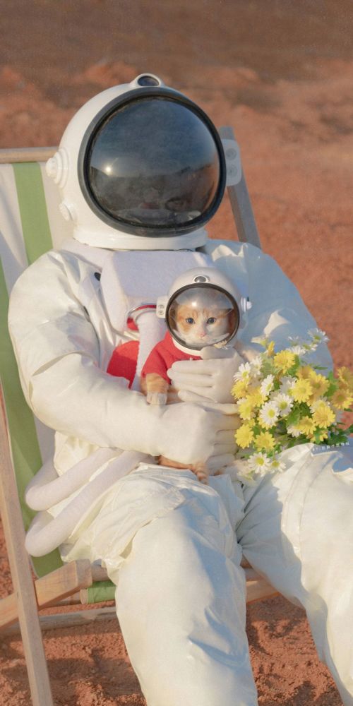 宇航员壁纸|"想和你举行一场唯美梦幻的粉色婚礼"