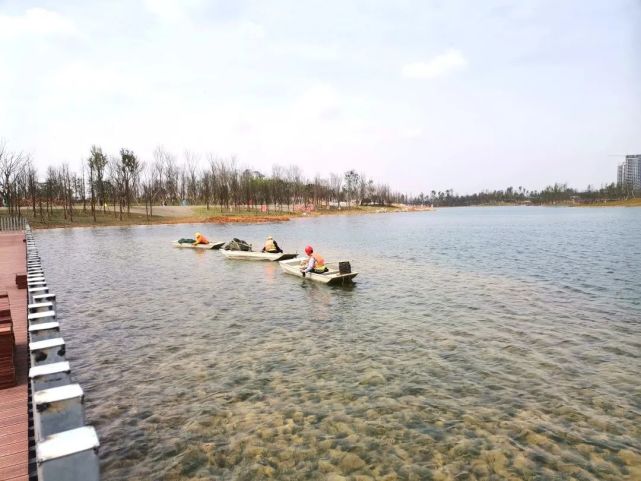 东安湖将现"白浪逐沙滩"