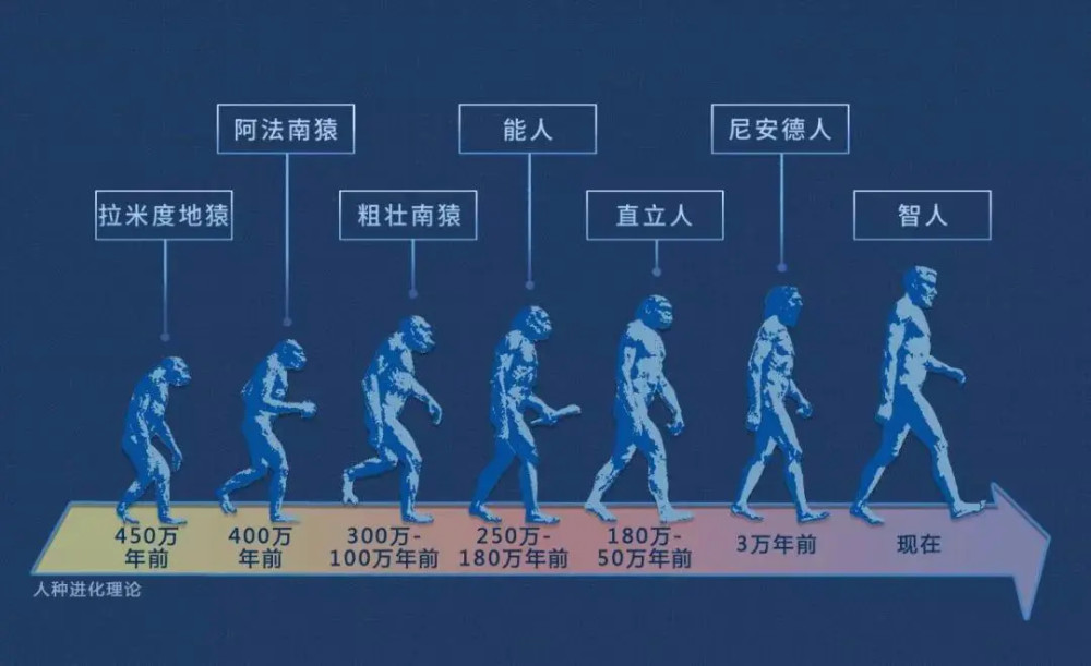 群星人口杂交_杂交水稻(3)