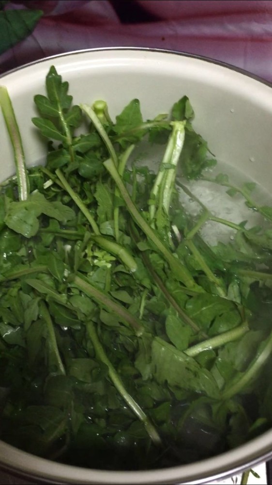春天"第一清肠草"被发现,隔三差五吃1次,排出黑臭宿便,大肚腩不见了!