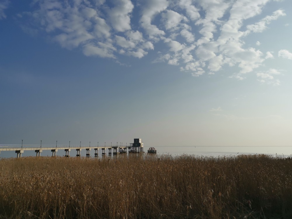 醉美夕阳网红丁坝