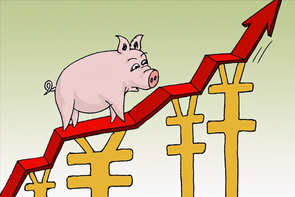 进口冻肉虎视眈眈猪价难有起色清明猪价涨势来袭