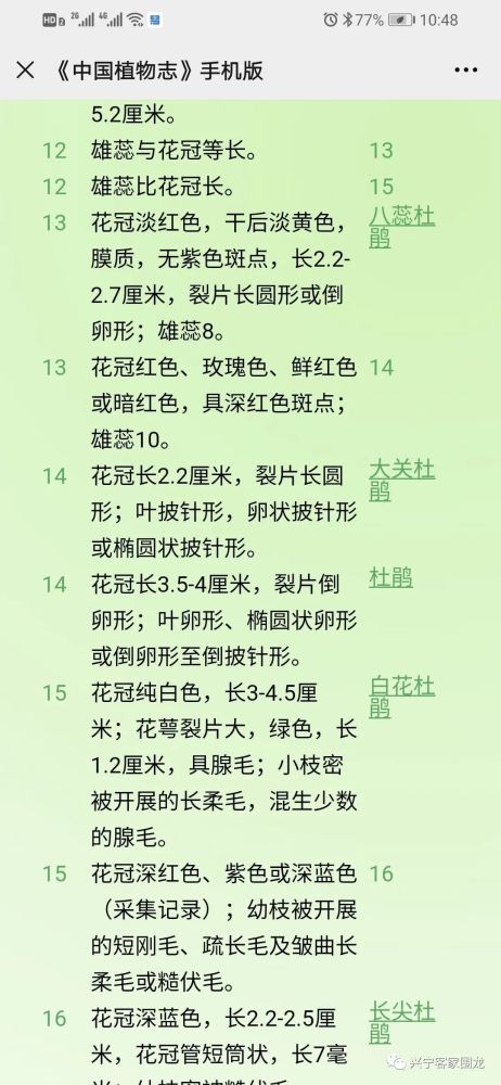 深红的曲谱_深红之渊图片(3)