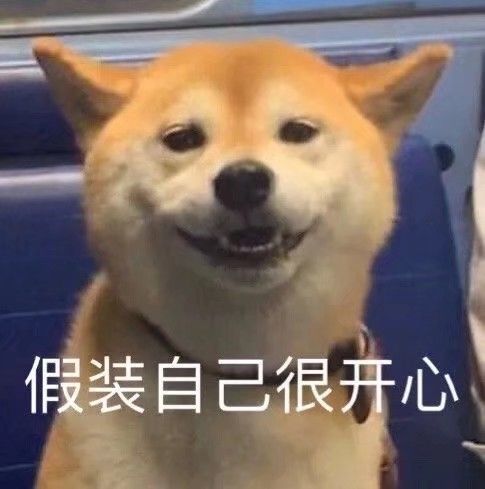"适合倔强单身人士拒绝狗粮的表情包"