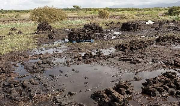 为什么欧洲沼泽地里的古尸可以千年不腐?有什么科学依据吗?