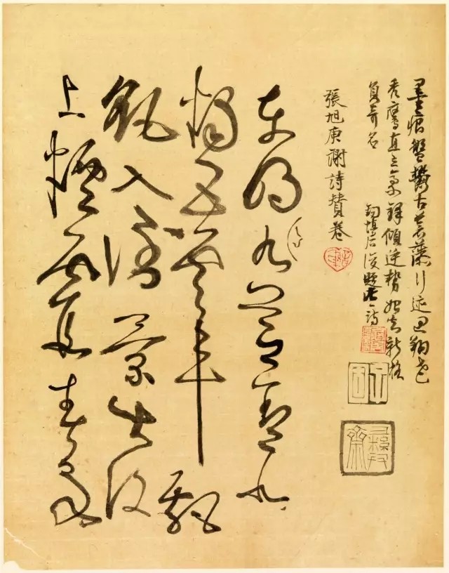 『大师回顾』谢稚柳《临张旭草书古诗帖册页》