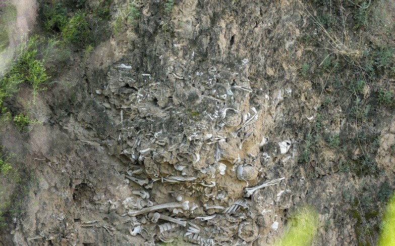 山西大山发现千年前"万人坑",7万人埋葬于此,尸骨裸露