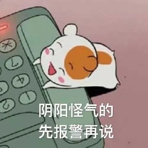 沙雕表情包|阴阳怪气的,先报警再说