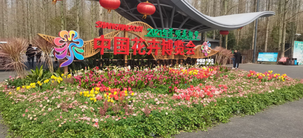 崇明"花事"满满,超热闹~ 准备好去赏花了吗 2021年崇明花朝节 活动