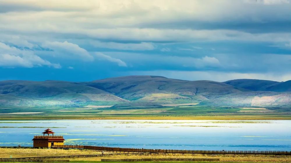 2020年重庆经济总量超过深圳_深圳地铁线路图2020年(2)