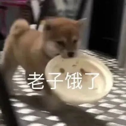 沙雕又可爱的表情包:"富婆 饿饿 饭饭"