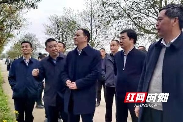 株洲市副市长顾峰到攸县调研春耕生产工作