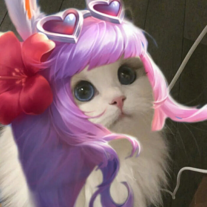 王者荣耀猫咪头像本命英雄原来可以这么可爱