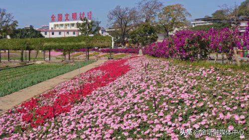 乡村振兴盐边县红格镇昔格达从默默无闻到粉墨登场的田园旅居康养村